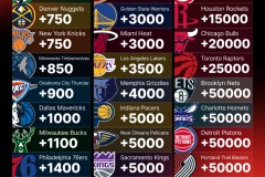 纳什退役荣光回归凤凰城太阳队